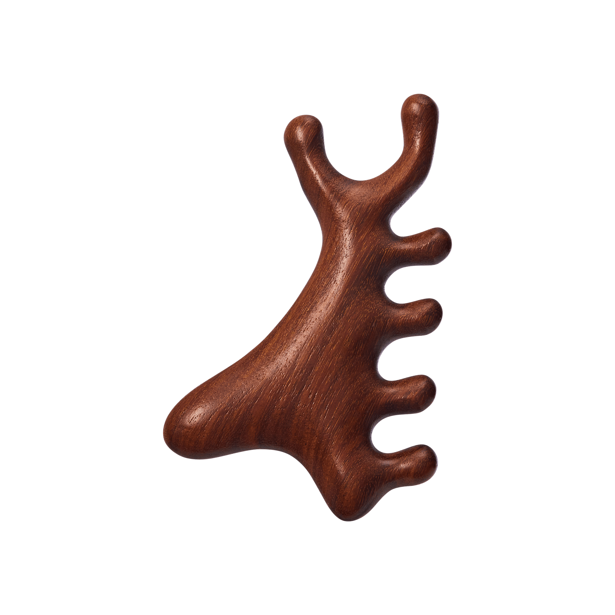 Dark brown wooden gua sha tool with multiple rounded prongs, shaped like an abstract antler, isolated on a white background.