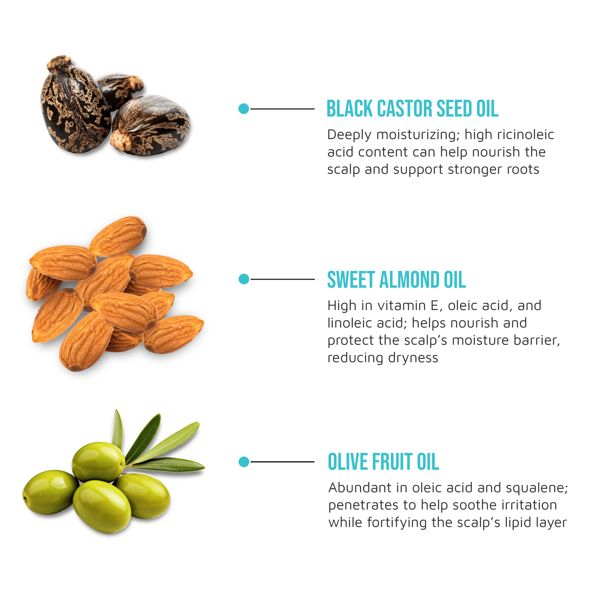 Black castor seeds, sweet almonds, and green olives pictured with text highlighting benefits of black castor seed oil, sweet almond oil, and olive fruit oil for moisturizing and soothing scalp.