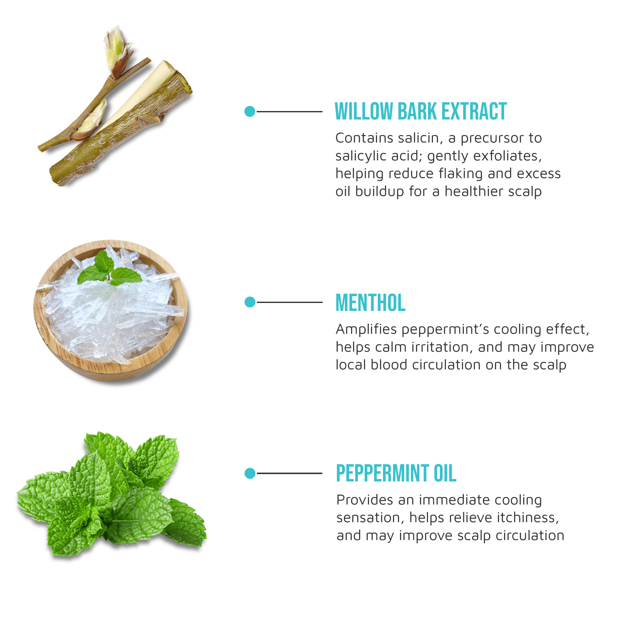 Willow bark extract exfoliates to reduce flaking; menthol calms irritation and improves scalp circulation; peppermint oil cools and relieves itchiness.