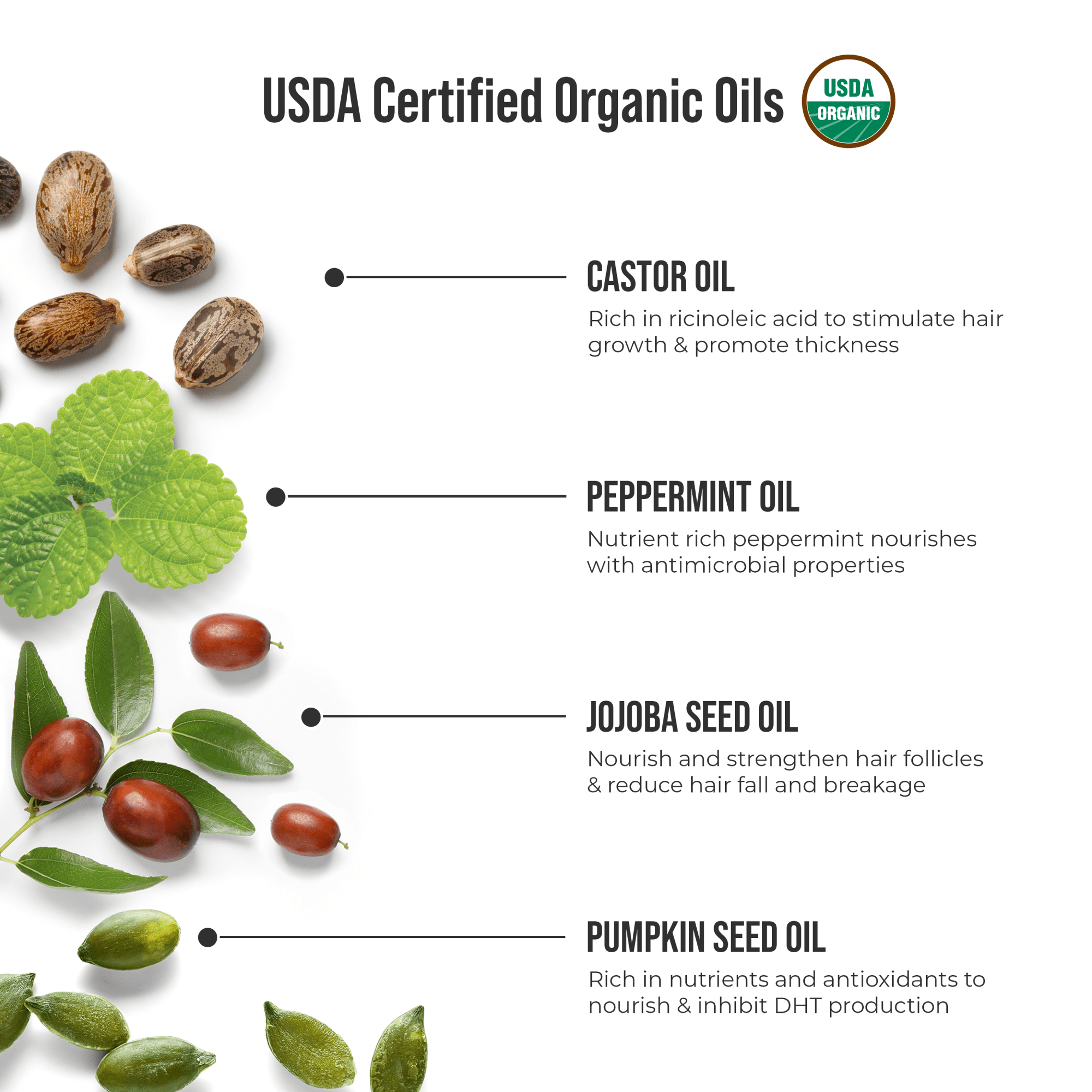 USDA Certified Organic Oils with labeled seeds and leaves: castor oil for hair growth, peppermint oil for nourishment, jojoba seed oil to reduce hair fall, pumpkin seed oil to inhibit DHT.