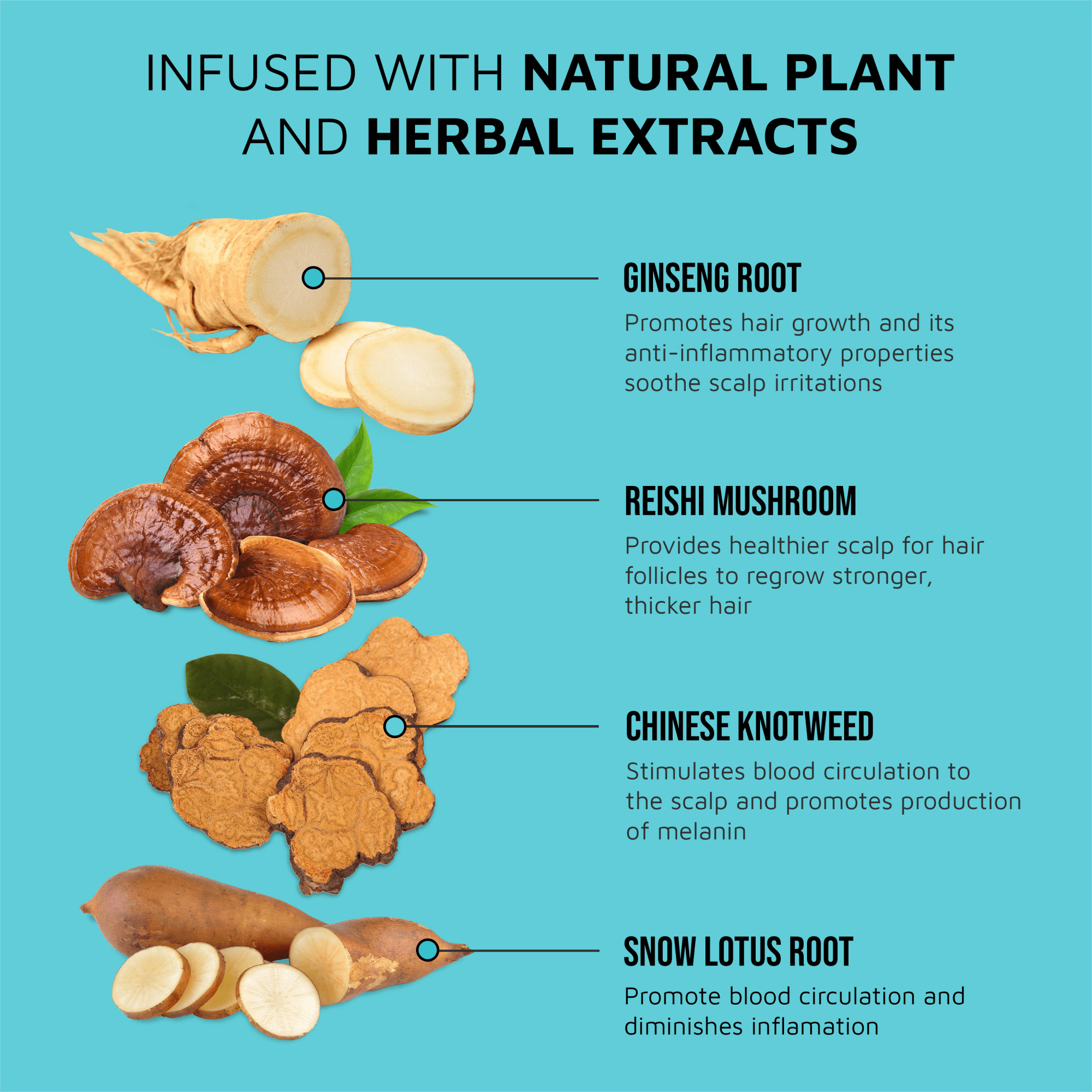Illustration of ginseng root, reishi mushroom, Chinese knotweed, and snow lotus root with text on a blue background.