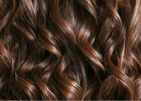 Close-up view of shiny, smooth, chestnut brown curly hair with soft highlights, showcasing healthy texture and volume.