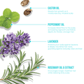 Castor seeds, peppermint leaves, lavender flowers, and rosemary sprig with text highlighting oils that boost hair growth, increase scalp blood flow, protect scalp, and relieve itchiness.