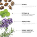 Castor seeds, peppermint leaves, lavender flowers, and rosemary sprigs illustrate ingredients with benefits: hair growth, antimicrobial nourishment, scalp protection, and itch relief.